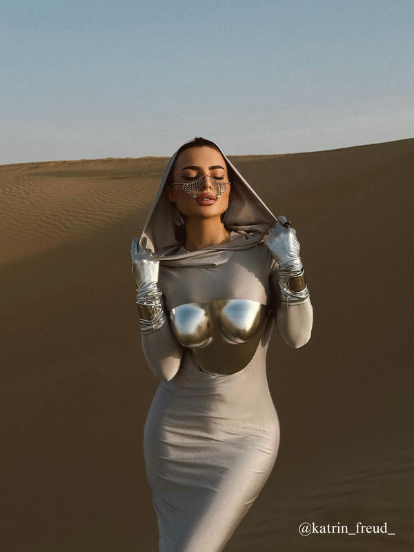 Apollo Armor Top In Bright Silver