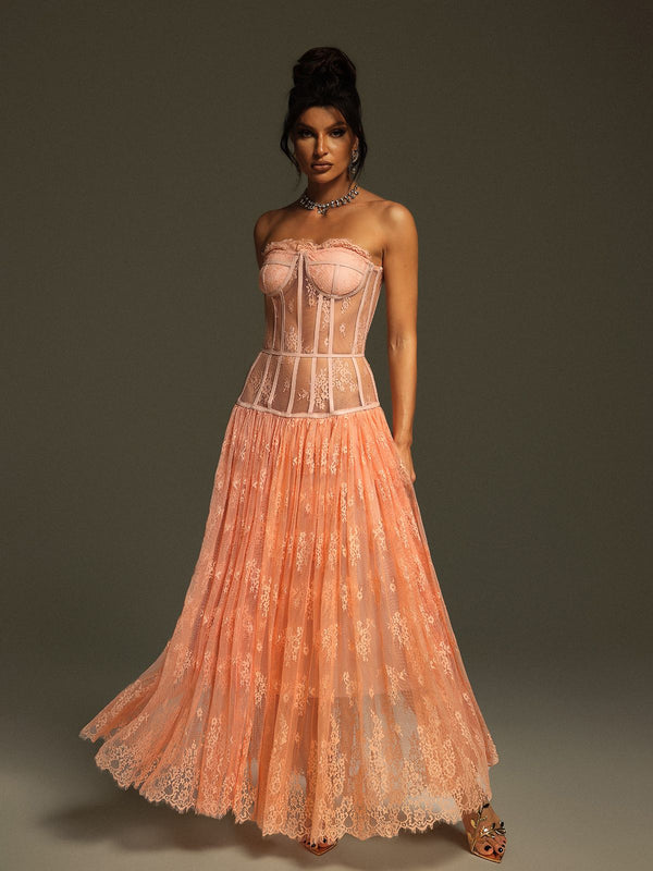 Juric Strapless Lace Mesh Maxi Dress